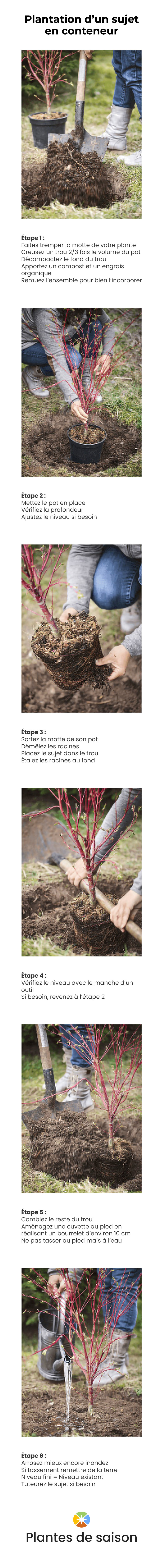 Guide et conseils de plantation